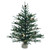Vickerman B803922LED 24" Carmel Pine Christmas Tree with Lights 