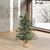 Vickerman B803924LED - 2.5 ft Carmel Pine Prelit Warm White LED Christmas Tree