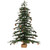 Vickerman B803925 36" Carmel Pine Christmas Tree w/Cones