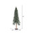 Vickerman B907390 8' x 50" Natural Bark Alpine Tree 1221T