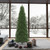 Vickerman C164085 - 9.5 ft Oregon Fir Unlit Christmas Tree