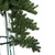 Vickerman C164206 6' x 54" Oregon Fir Tree Top 997Tips