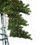 Vickerman C164206LEDWW - 6 ft Oregon Fir Prelit Warm White LED Christmas Tree