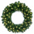 Vickerman C164631LED - 30" Oregon Fir Wreath with Warm White LED Lights
