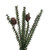 Vickerman C803948 48" Carmel Pine Christmas Tree