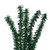 Vickerman C804032 - 3 ft Mini Pine Tree w/Wood Base Unlit Christmas Tree