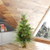 Vickerman D181040 48Ãƒâ€šÃ‚Â Boulder Pine Christmas Tree