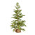 Vickerman D190230 36" Cedar Pinecone Tree 63 Tips