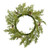 Vickerman D190324 24" Cedar Pinecone Wreath 30Tips 
