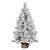 Vickerman D190840 48" Frosted Beckett Pine Tree 123Tips