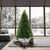 Vickerman DT213583LEDCC 9' x 67" Tiffany Fraser Fir LED 1100CC