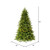 Vickerman DT214265 6.5' x 48" Jersey Fraser Fir 3028T