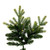 Vickerman DT214266LED 6.5' x 48" Jersey Fraser Dura-Lit 500WW 
