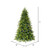 Vickerman DT214268LEDCC 6.5' x 48" Jersey Fraser Fir LED 500CC