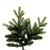 Vickerman DT214278LEDCC 7.5' x 58" Jersey Fraser Fir LED 750CC