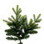 Vickerman DT214280 9' x 64" Jersey Fraser Fir 6516T 