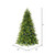 Vickerman DT214283LEDCC 9' x 64" Jersey Fraser Fir LED 1100CC