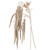 Vickerman EH210938 - 44 in. Champagne Amaranthus Artificial Spray - 2 Pack