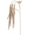 Vickerman EH210938 - 44 in. Champagne Amaranthus Artificial Spray - 2 Pack