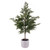 Vickerman EH213837 37" Artificial Green Cypress Sapling in Pot 