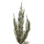 Vickerman EH214062 - 5.17 ft Green Cedar Christmas Garland - Unlit