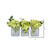 Vickerman F12237 - 5" Green Artificial Hydrangea in Glass Cube - Set of 3 