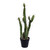 Vickerman FE191124 24" Green Potted Cactus 