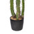 Vickerman FE191156 56" Green Potted Cactus 