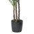 Vickerman FE192650 5ft 3 x Artificial Green Yucca Tree in Pot 