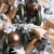 Vickerman N500164 5.5" Moss Green Drop 4 Finish Asst 8/Bx