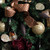 Vickerman N500175 5.5" Chocolate Drop 4 Finish Asst 8/Bx