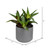 Vickerman FH191010 10" Green Potted Aloe 