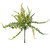 Vickerman FJ180601 - 16 in. Green Fern Artificial Spray - 3 Pack