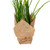 Vickerman FJ181201 - 10" Artificial Yellow Daffodil Burlap Pot Set of 2 