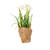Vickerman FJ181201 - 10" Artificial Yellow Daffodil Burlap Pot Set of 2 
