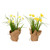 Vickerman FJ181201 - 10" Artificial Yellow Daffodil Burlap Pot Set of 2 