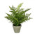 Vickerman FJ190419 19" Green Fern In Pot 