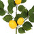 Vickerman FK170703 - 6 ft Green Yellow Lemon Christmas Garland - Unlit