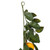 Vickerman FK170703 - 6 ft Green Yellow Lemon Christmas Garland - Unlit