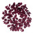 Vickerman FK221024 - 24" Burgundy Dogwood Glitter Wreath