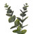 Vickerman FK234660 - 24" Green Spiral Eucalyptus Wreath