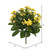 Vickerman FL170203 15" Yellow Kalanchoe Bush 