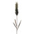 Vickerman FM224748 - 44 in. Dark Green Glitter Reed Artificial Spray - 2 Pack
