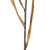 Vickerman FM224957 - 51 in. Light Gold Reed Artificial Spray - 2 Pack