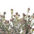 Vickerman FNT221130 - 20.5 in. Red Frosted Berry Greenery Artificial Spray - 3 Pack