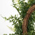 Vickerman FQ171924 - 24" Buckler Fern & Grass Wreath