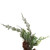 Vickerman FQ224124 - 24" Snow Cedar Hanging Wreath