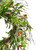 Vickerman FS232622 - 22" Green Olive Wreath
