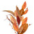 Vickerman FT227122 - 22" Cream Red Leaf Wreath