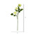 Vickerman FV190641 - 17 in. Cream Dahlia Artificial Spray - 6 Pack